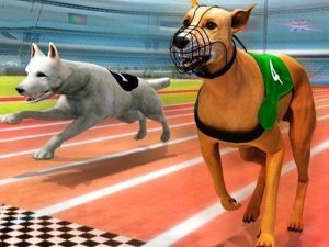 Dog Dash Circuit