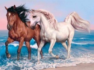 Equine Picture Assembly Puzzle