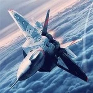 Aerial Mission Pilot: Tactical Flight