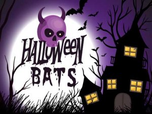 Autumn Bat Memory Puzzle