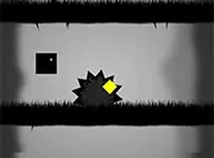 Black Box Maze Puzzle