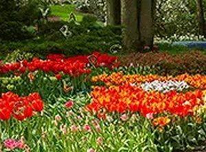 Garden Letter Search Puzzle