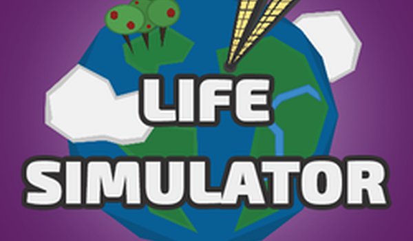 Life Paths: A Family Choice Simulation